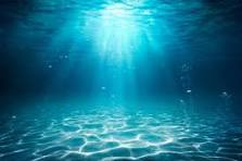 Sea
